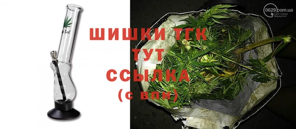 гашик Аркадак
