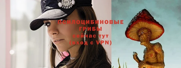 каннабис Арсеньев