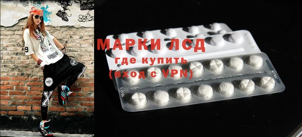 гашик Аркадак
