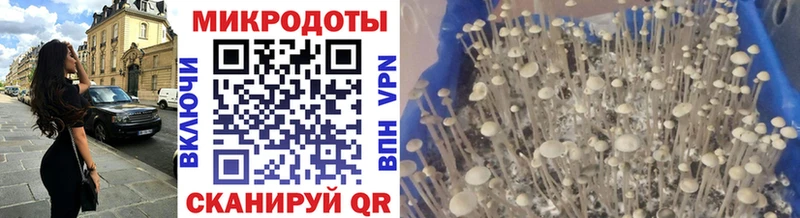 Псилоцибиновые грибы прущие грибы  Балей 
