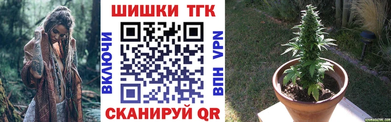 Бошки марихуана конопля  как найти наркотики  Балей 